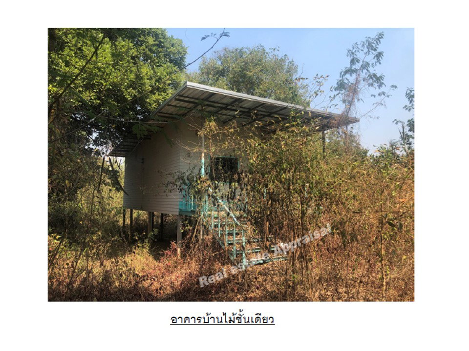 picture LAND 2061 Sq.w. Wang Thong Phitsanulok for 2.5M - 5/5