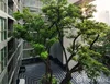 listing thumbnail image 22