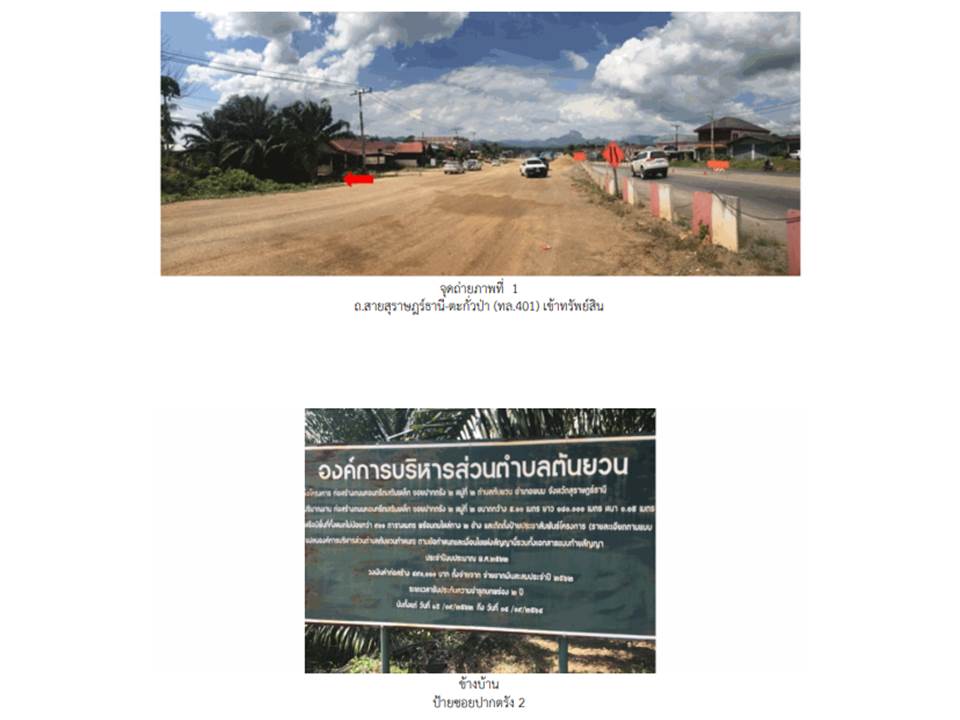 รูป ที่ดิน 2722 ตร.วา พนม สุราษฎร์ธานี 3.2M - รูปที่ 2/4