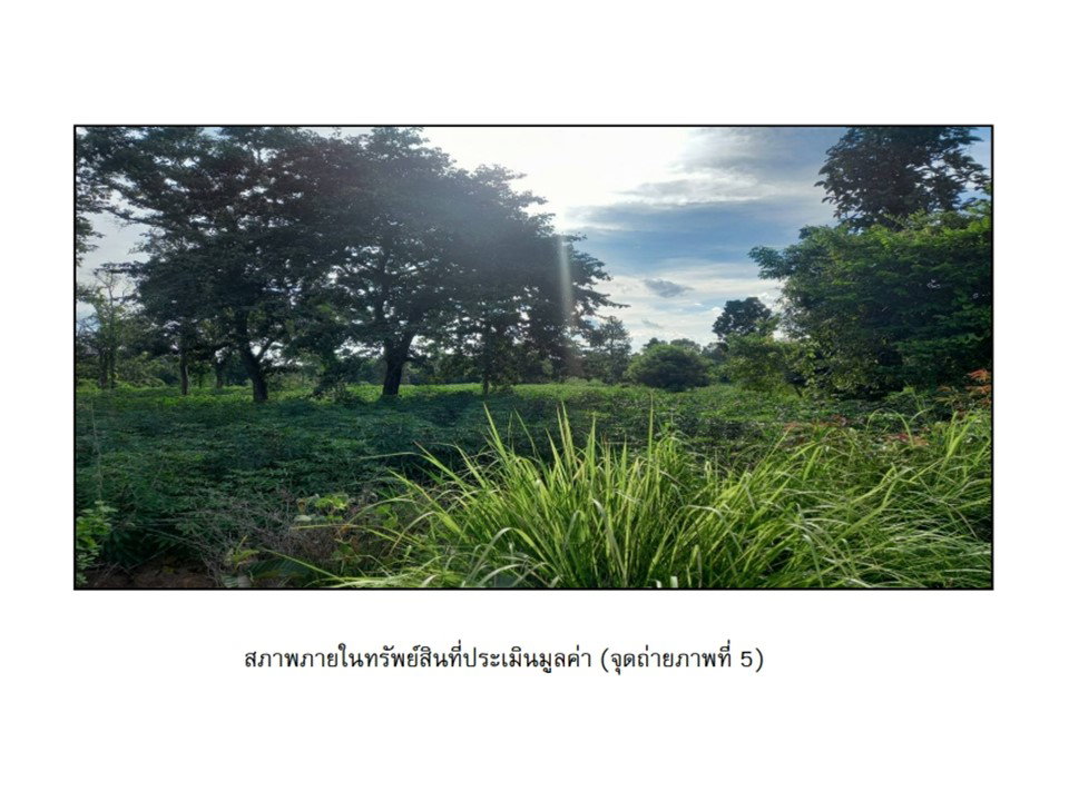 รูป ที่ดิน 2336 ตร.วา พิบูลมังสาหาร อุบลราชธานี 1.8M - รูปที่ 5/5
