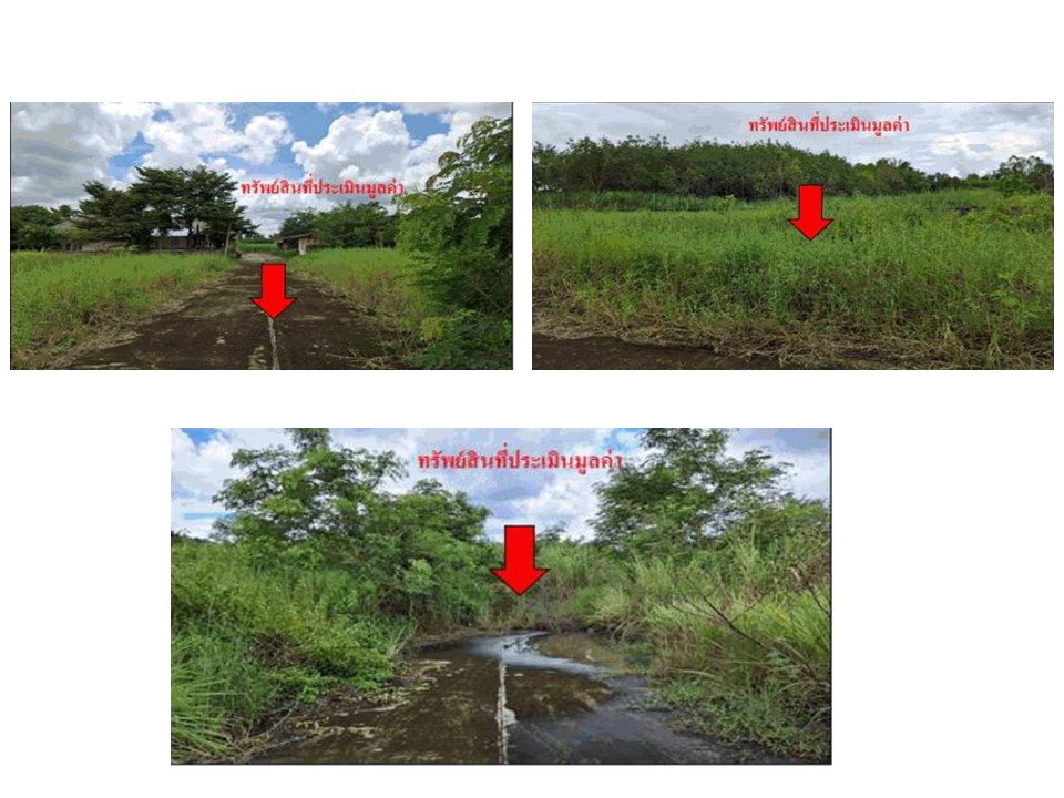 picture LAND 1792 Sq.w. Nam Som Udon Thani for 7.9M - 4/4