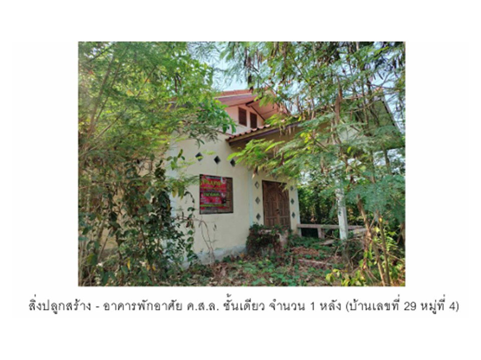 รูป ที่ดินพร้อมสิ่งปลูกสร้าง 100 ตร.วา โพทะเล พิจิตร 281,000 - รูปที่ 5/6