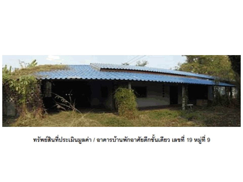 picture LAND 1600 Sq.w. Kao Lieo Nakhon Sawan for 1.6M - 1/3