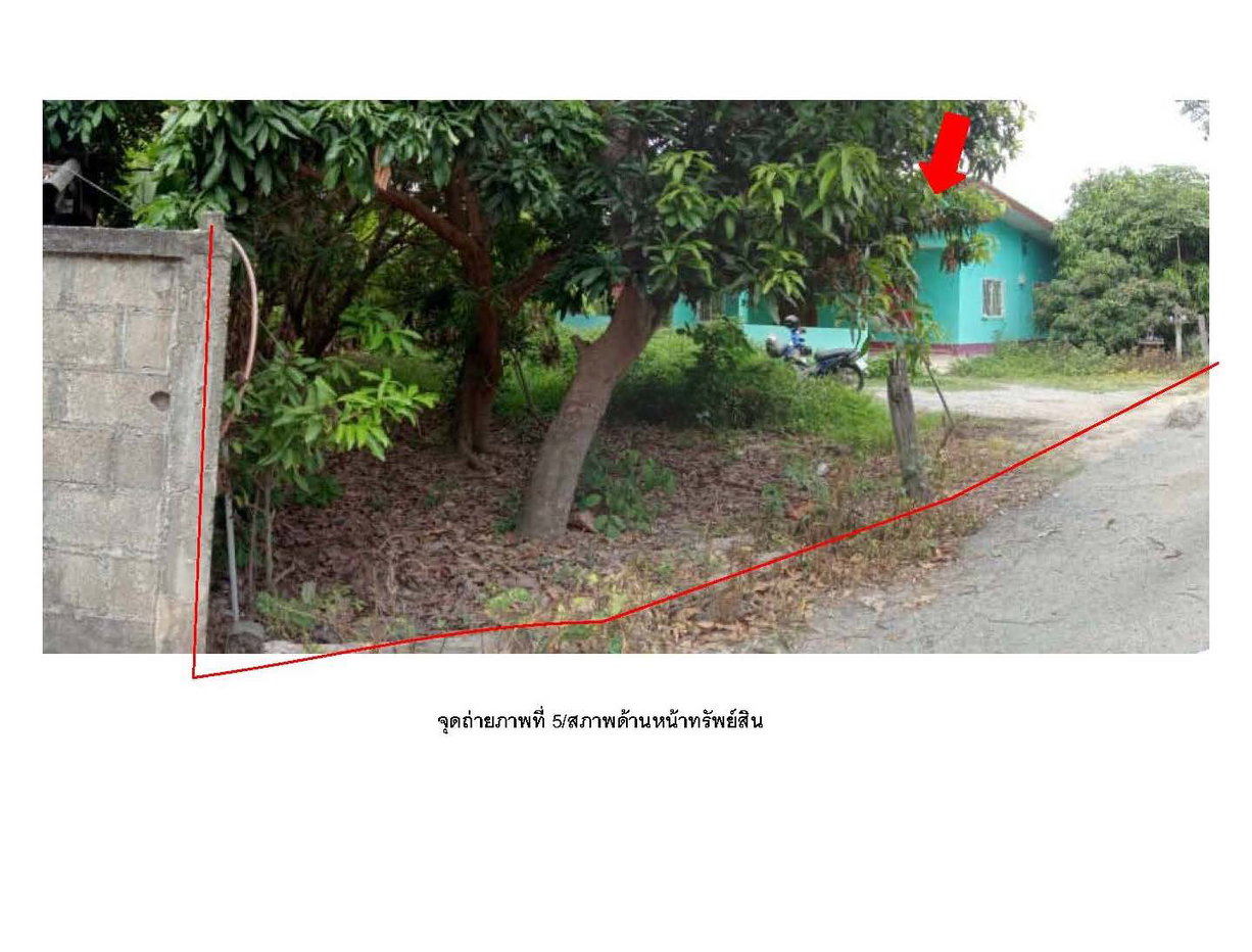 picture LAND 153.3 Sq.w. Mae Wang Chiang Mai for 1.4M - 2/5