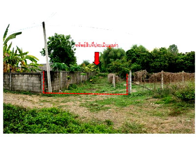 LAND 812 Sq.w. Chiang Klang Nan for 1.2M