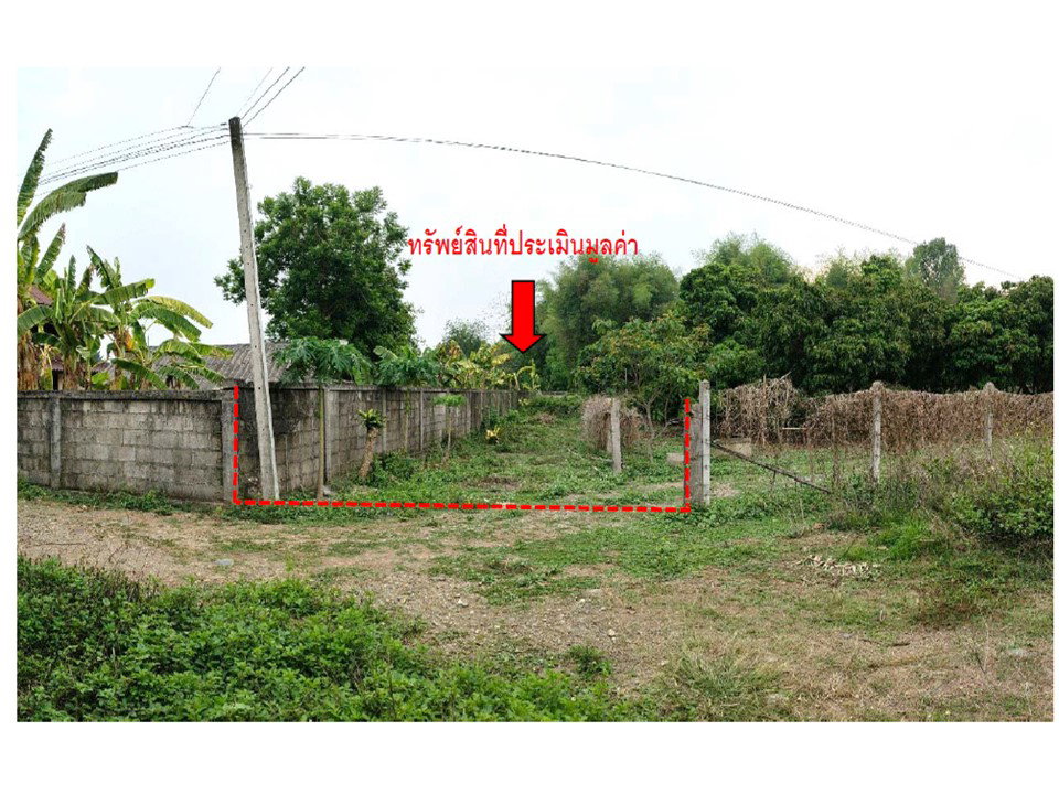 picture LAND 812 Sq.w. Chiang Klang Nan for 1.2M - 1/5