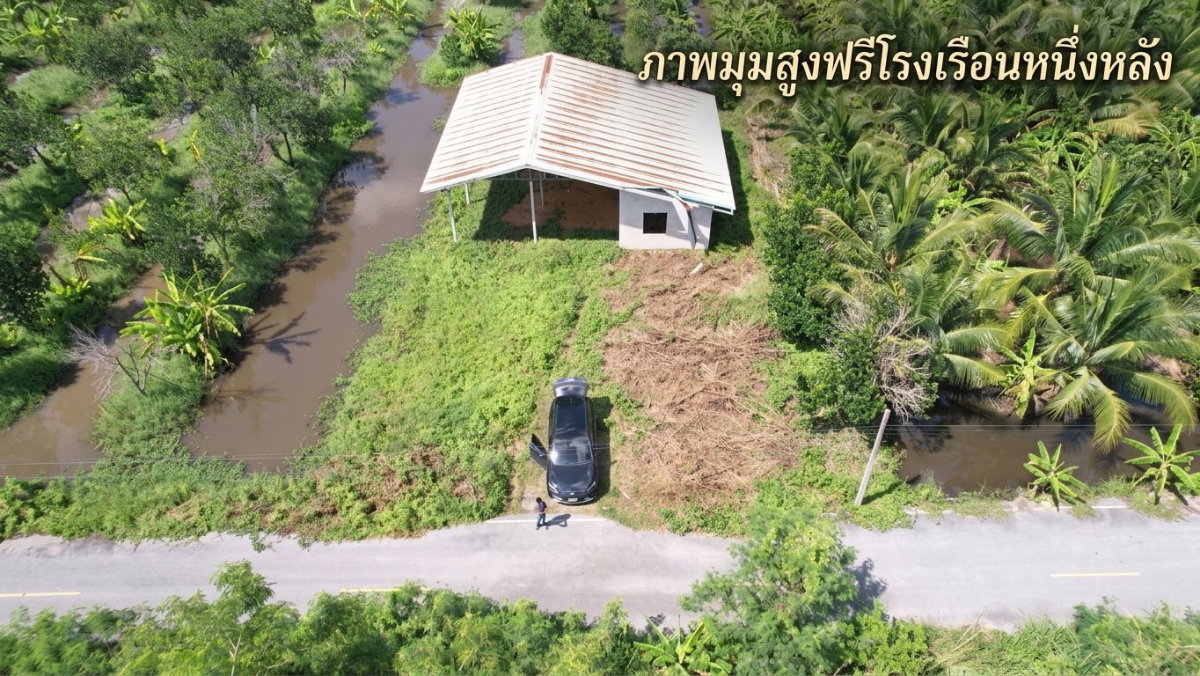 picture  Sale: 5-Rai Jackfruit Orchard in Nong Suea, Pathum Thani (Flood-free area) - 3/5