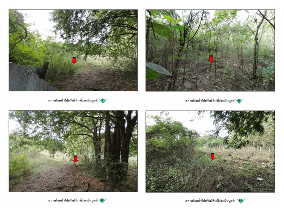 picture LAND 1087 Sq.w. Thoen Lamphang for 2.2M - 4/6