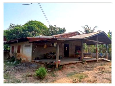 ที่ดินพร้อมสิ่งปลูกสร้าง 156 ตร.วา หนองกุงศรี กาฬสินธุ์ 353,000