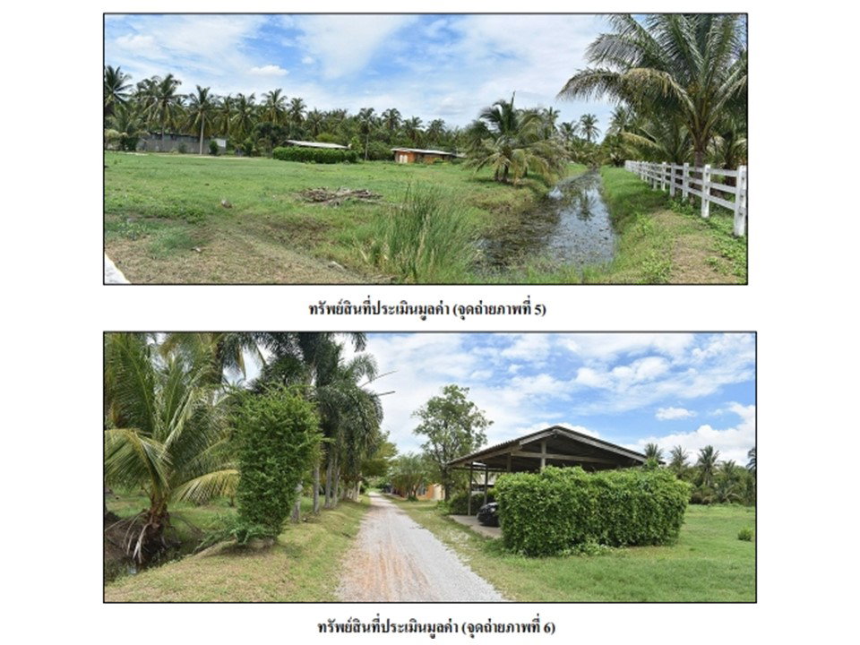 picture LAND 5533.3 Sq.w. Ban Laem Petchburi for 6.5M - 4/9