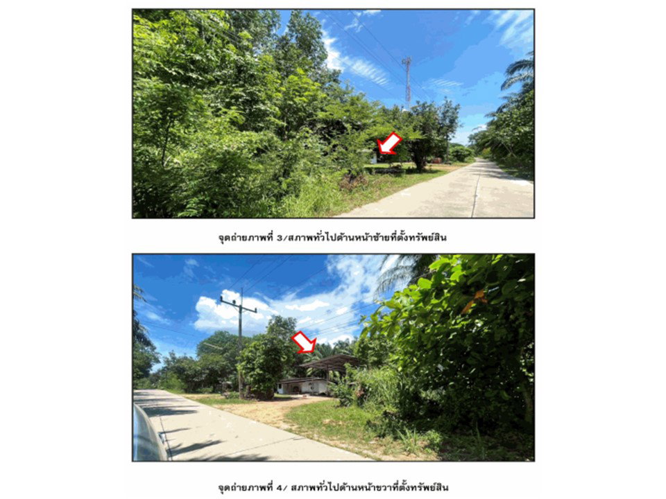 picture LAND 271 Sq.w. Tha Chana Surat Thani for 873,000 - 2/5