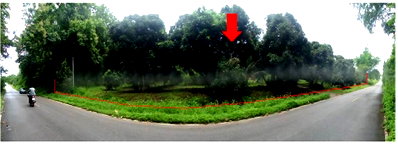 ที่ดิน พร้าว เชียงใหม่ : ที่ดิน 7741.9 ตร.วา พร้าว เชียงใหม่ 3.8M