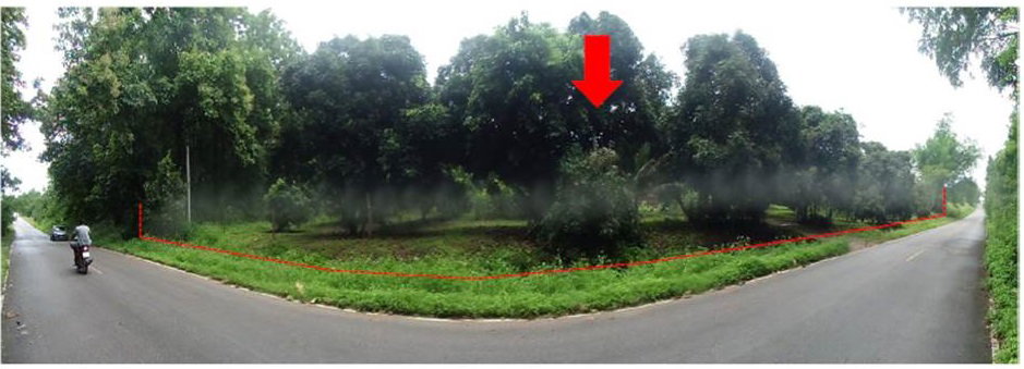 รูป ที่ดิน 7741.9 ตร.วา พร้าว เชียงใหม่ 3.8M - รูปที่ 1/6