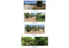 listing thumbnail image 2