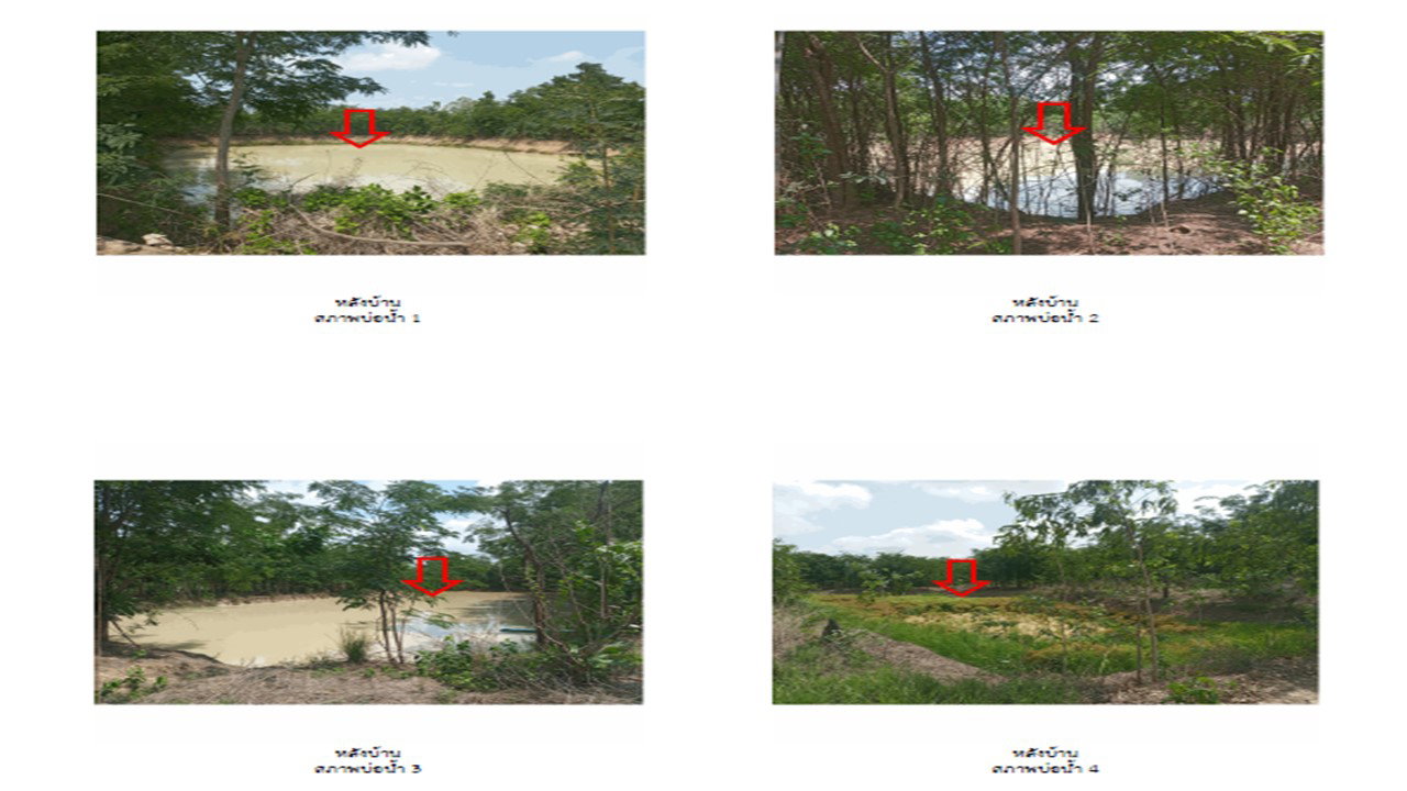 รูป ที่ดินพร้อมสิ่งปลูกสร้าง 8822 ตร.วา บางระกำ พิษณุโลก 9M - รูปที่ 10/10
