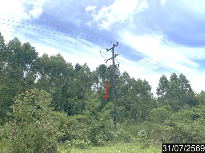 picture LAND 5726 Sq.w. Suwan Khuha Nong Bua Lam Phu for 2.6M - 5/15