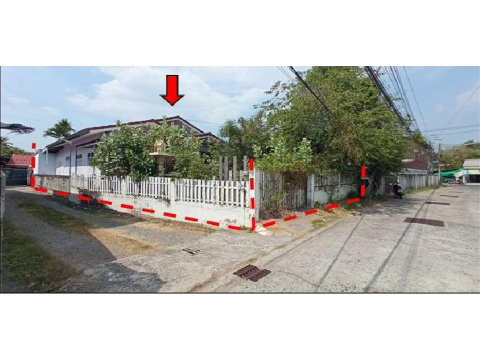 LAND 74 Sq.w. Nang Rong Buri Ram for 1.1M