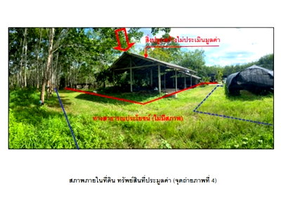 บ้านเดี่ยว สุราษฎร์ธานี : ที่ดินพร้อมสิ่งปลูกสร้าง 2863 ตร.วา พนม สุราษฎร์ธานี 2.5M