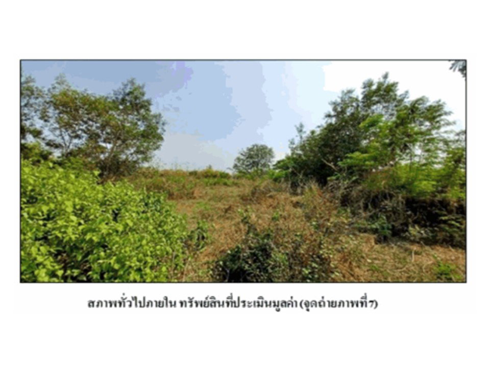 รูป ที่ดิน 800 ตร.วา โนนสัง หนองบัวลำภู 638,000 - รูปที่ 7/9
