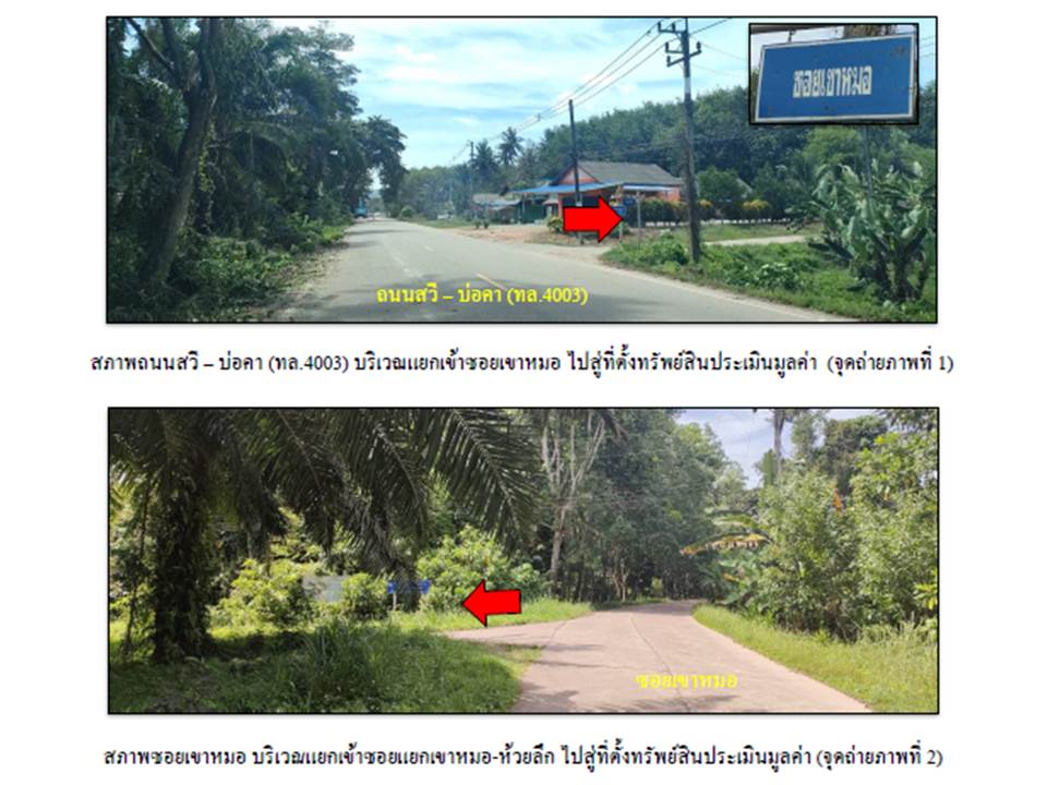 รูป ที่ดินพร้อมสิ่งปลูกสร้าง 101 ตร.วา สวี ชุมพร 819,000 - รูปที่ 2/4