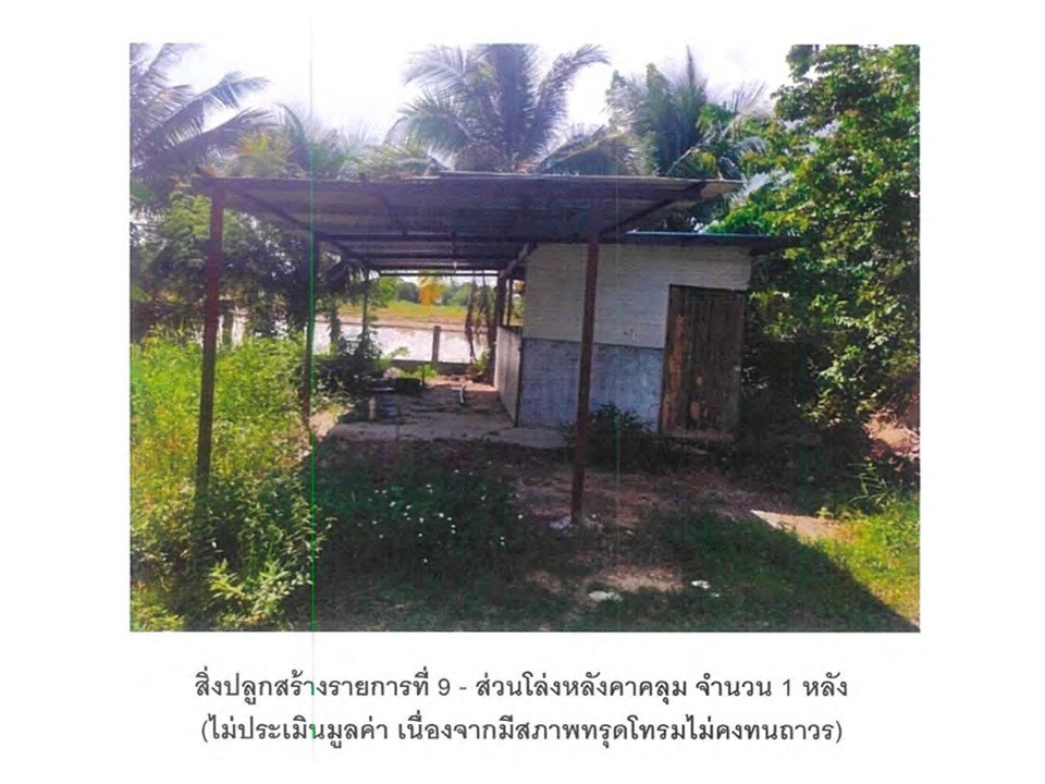 picture LAND 2347.8 Sq.w. Muang Lampang Lamphang for 9.5M - 5/7