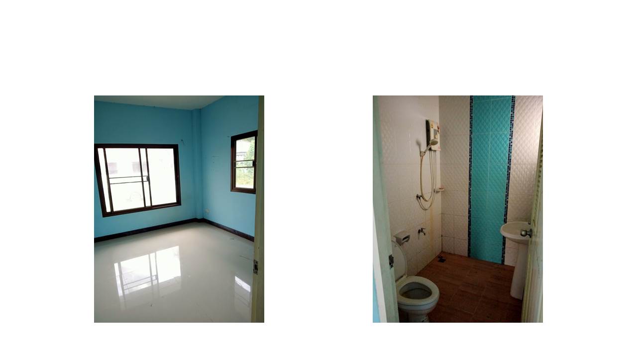 picture LAND 60 Sq.w. Saraphi Chiang Mai for 1.6M - 6/10