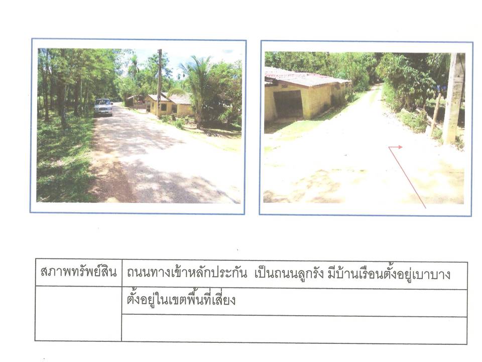 รูป ที่ดินพร้อมสิ่งปลูกสร้าง 50 ตร.วา ระแงะ นราธิวาส 384,000 - รูปที่ 2/3