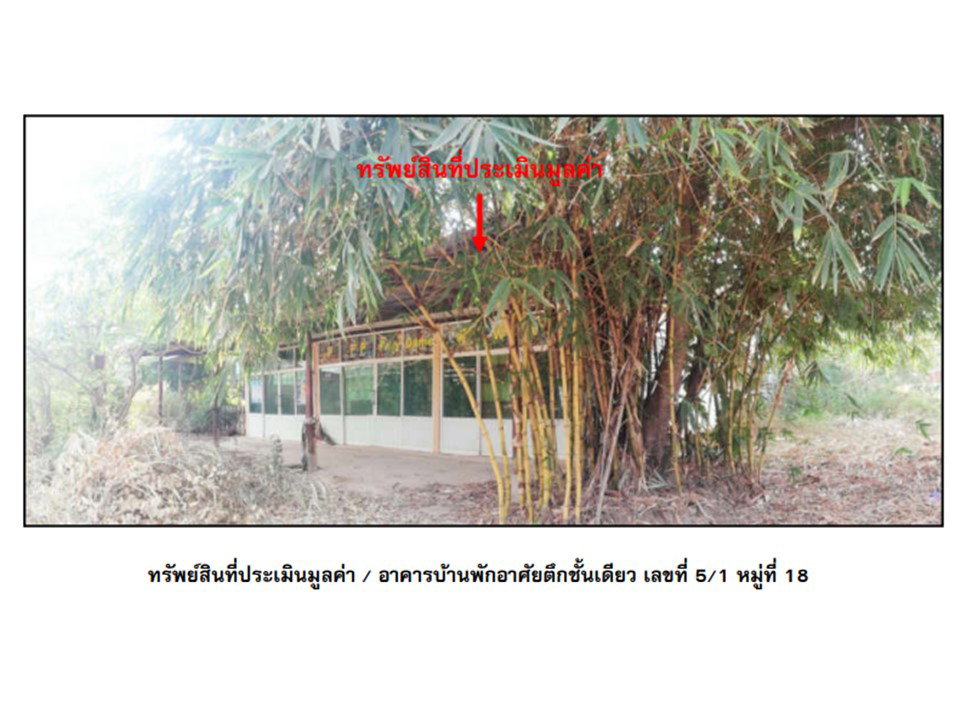 รูป ที่ดินพร้อมสิ่งปลูกสร้าง 318 ตร.วา ศรีเทพ เพชรบูรณ์ 1.3M - รูปที่ 1/7