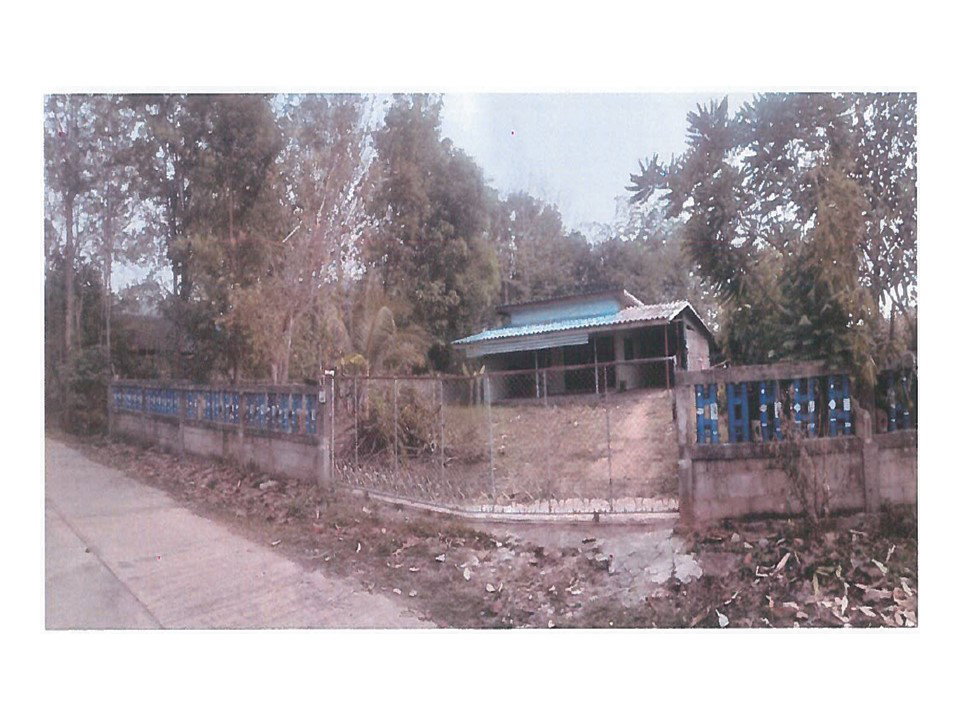 picture LAND 223 Sq.w. Chiang Khong Chiang Rai for 880,000 - 1/4