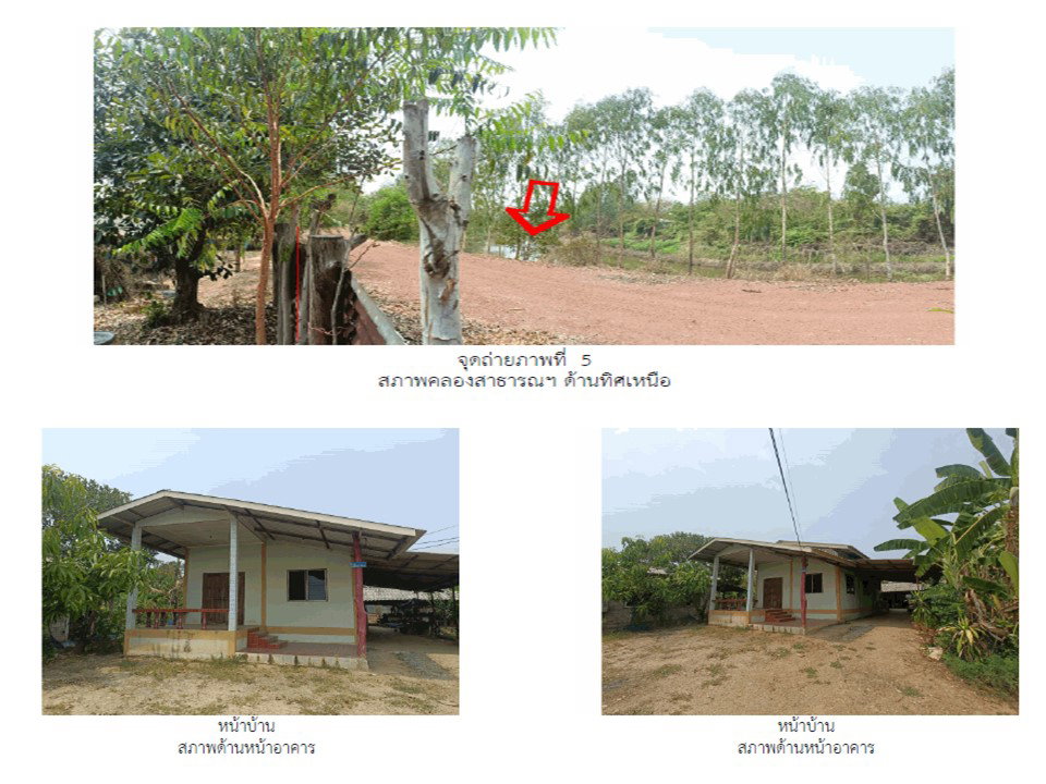 รูป ที่ดินพร้อมสิ่งปลูกสร้าง 158 ตร.วา บางระกำ พิษณุโลก 480,000 - รูปที่ 4/5