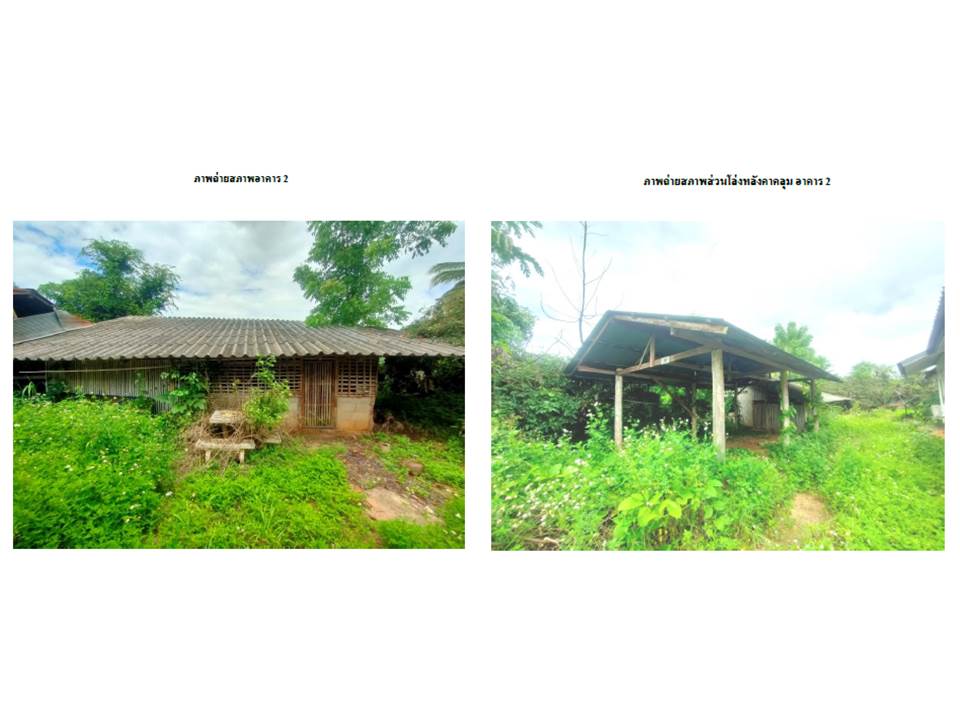 รูป ที่ดินพร้อมสิ่งปลูกสร้าง 419 ตร.วา พร้าว เชียงใหม่ 1.1M - รูปที่ 7/7