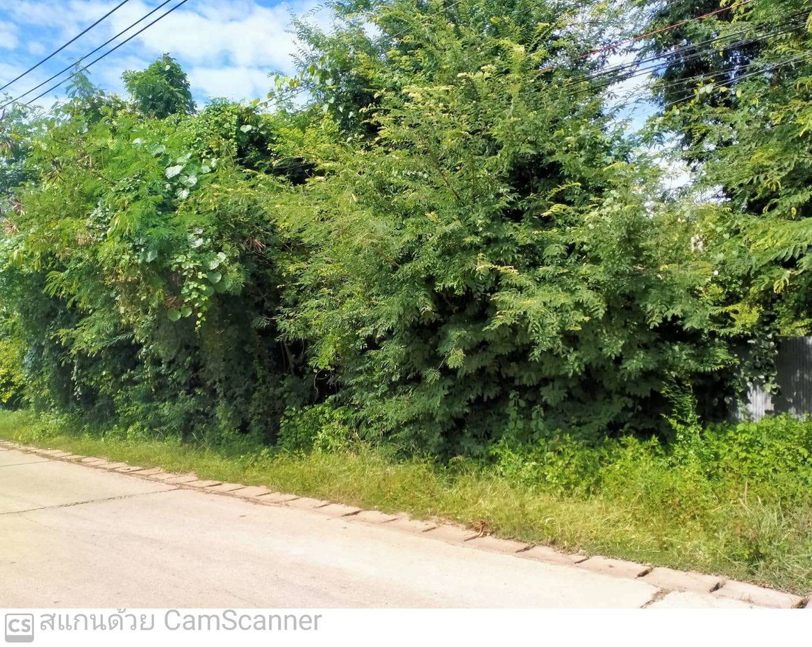 picture LAND 1087 Sq.w. Thoen Lamphang for 2.2M - 6/6