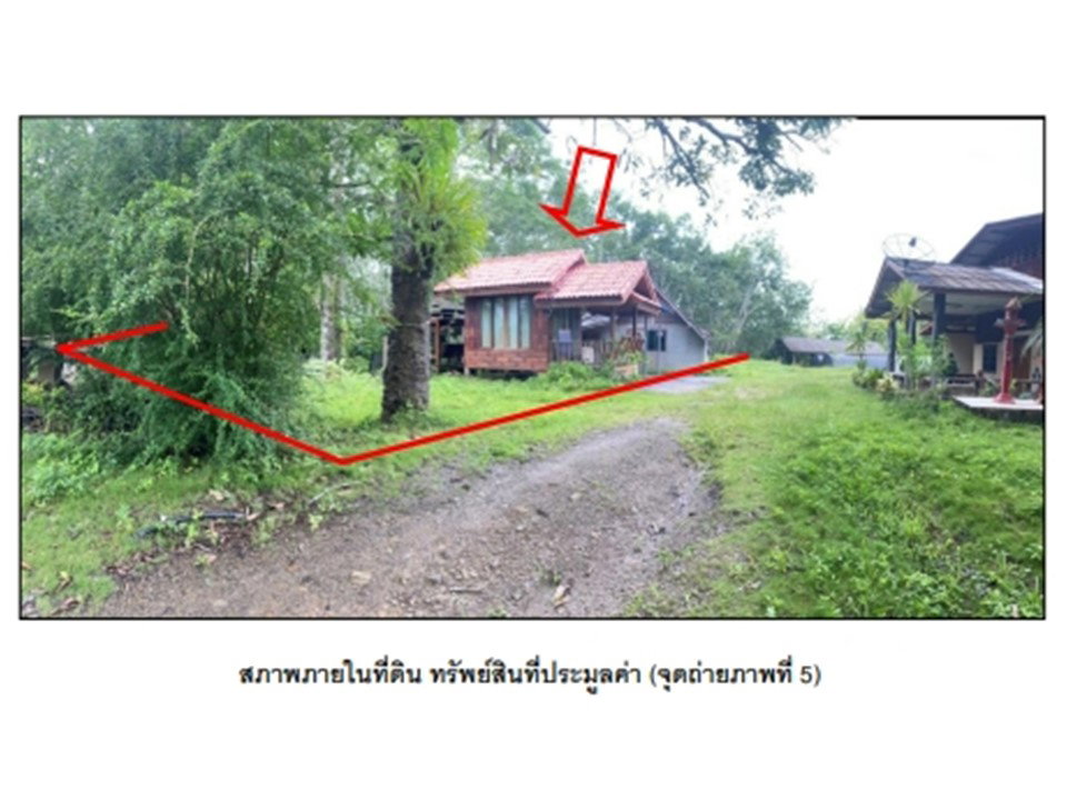 รูป ที่ดินพร้อมสิ่งปลูกสร้าง 2863 ตร.วา พนม สุราษฎร์ธานี 2.5M - รูปที่ 5/7