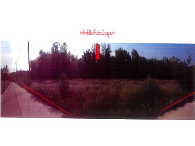 ที่ดิน ภูซาง พะเยา : ที่ดิน 485 ตร.วา ภูซาง พะเยา 938,000