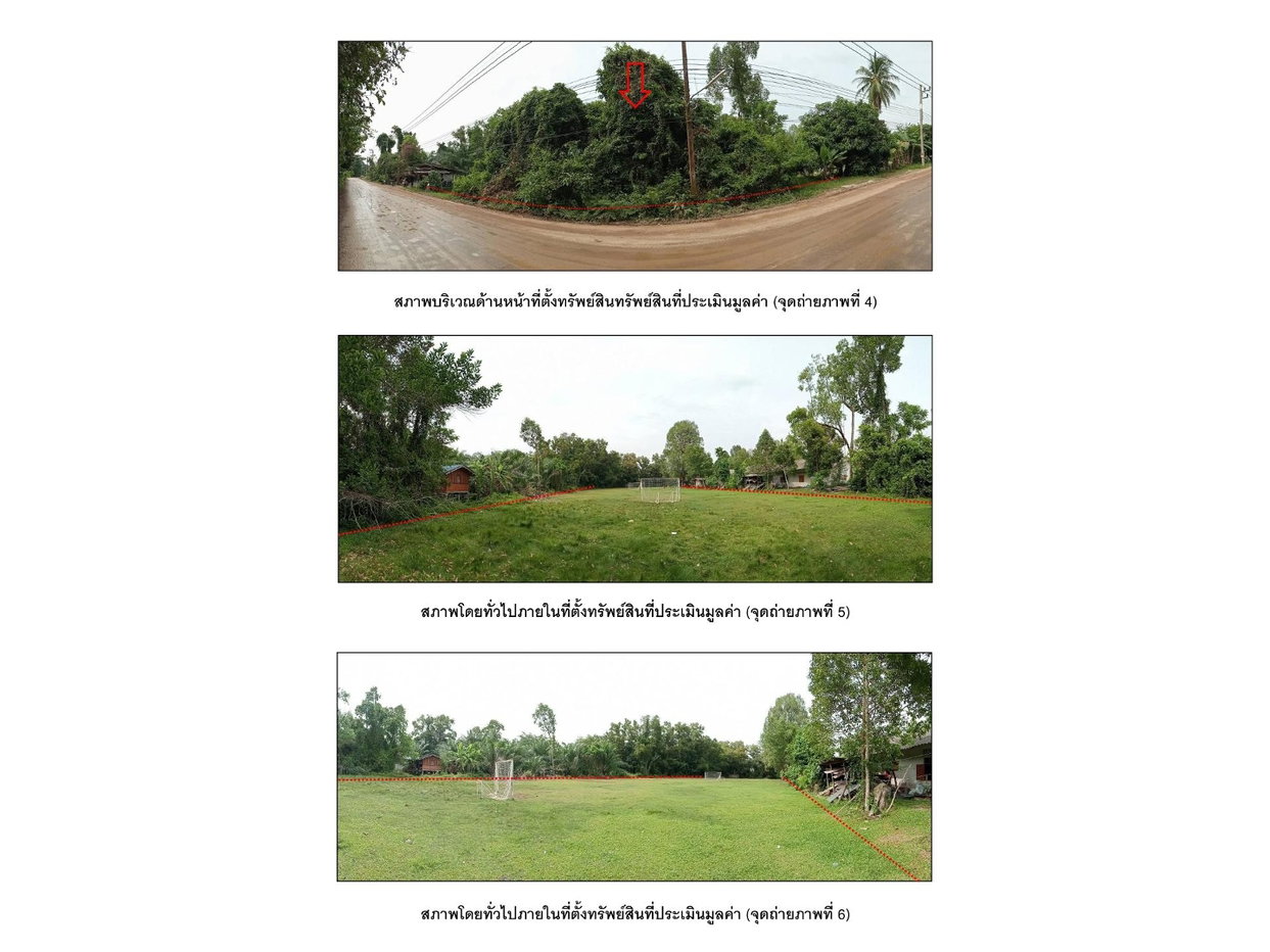 picture LAND 6240 Sq.w. Nong Chik Pattani for 1.7M - 3/5