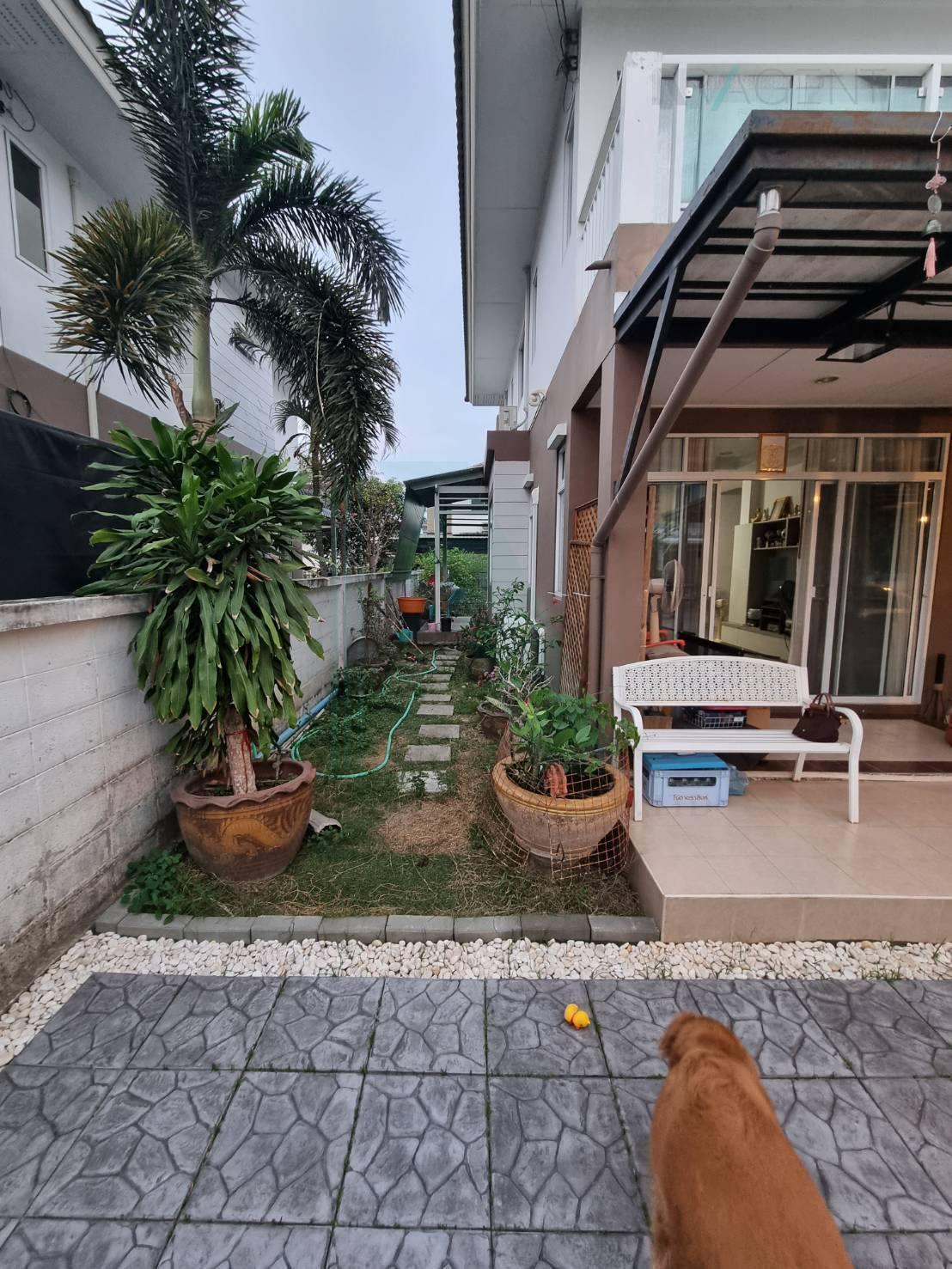 ขายบ้านเดี่ยว 4 ห้องนอน 202 ตร.ม. 71.1 ตร.ว. เทรนดี้ ธารา พระราม 2