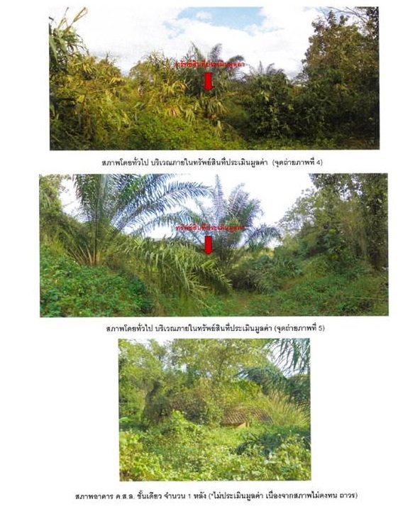 picture LAND 2030 Sq.w. Muang Chiang Rai Chiang Rai for 2.7M - 3/5