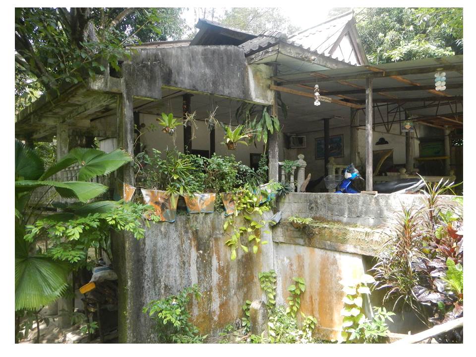 รูป ที่ดินพร้อมสิ่งปลูกสร้าง 230 ตร.วา สุไหงปาดี นราธิวาส 914,000 - รูปที่ 4/5