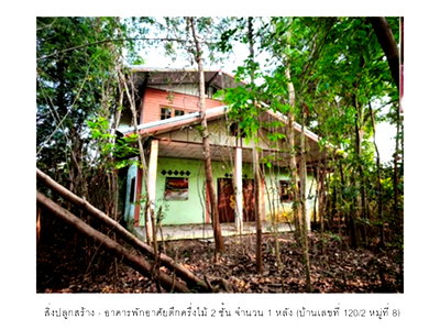 ที่ดิน สามง่าม พิจิตร : ที่ดินพร้อมสิ่งปลูกสร้าง 177 ตร.วา สามง่าม พิจิตร 525,000