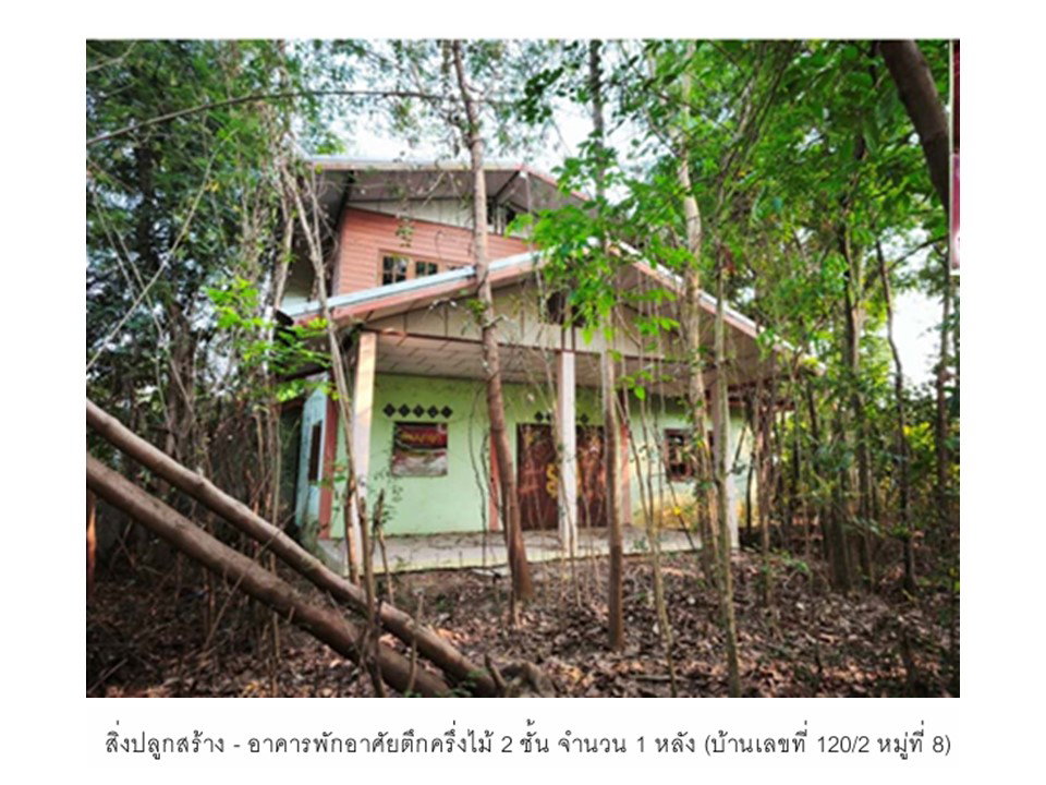 รูป ที่ดินพร้อมสิ่งปลูกสร้าง 177 ตร.วา สามง่าม พิจิตร 525,000 - รูปที่ 1/8