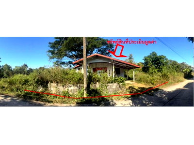Houses for sale Nongkai : HOME 99 Sq.w. Phon Phisai Nongkai for 385,000