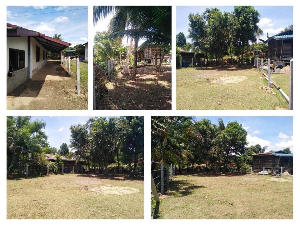 รูป ที่ดินพร้อมสิ่งปลูกสร้าง 135 ตร.วา ปราสาท สุรินทร์ 495,000 - รูปที่ 5/6
