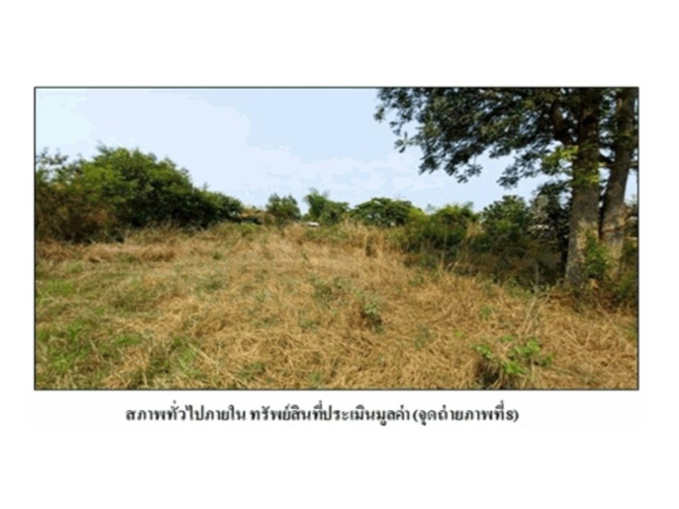 รูป ที่ดิน 800 ตร.วา โนนสัง หนองบัวลำภู 638,000 - รูปที่ 8/9