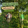 listing thumbnail image 3