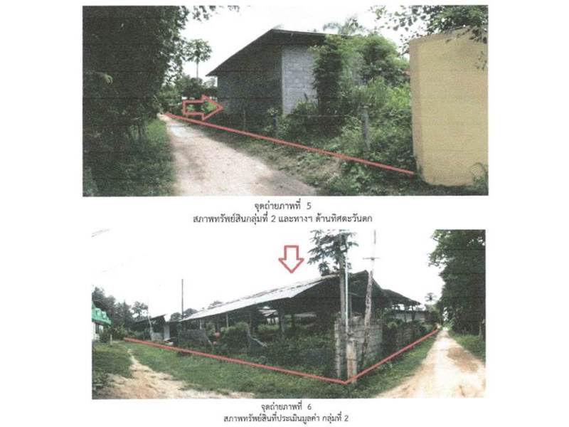 รูป ที่ดินพร้อมสิ่งปลูกสร้าง 393.5 ตร.วา นครไทย พิษณุโลก 3M - รูปที่ 5/9