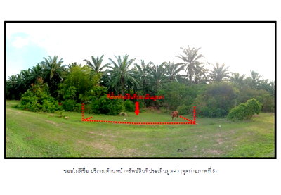 ที่ดิน คลองท่อม กระบี่ : ที่ดิน 50 ตร.วา คลองท่อม กระบี่ 150,000