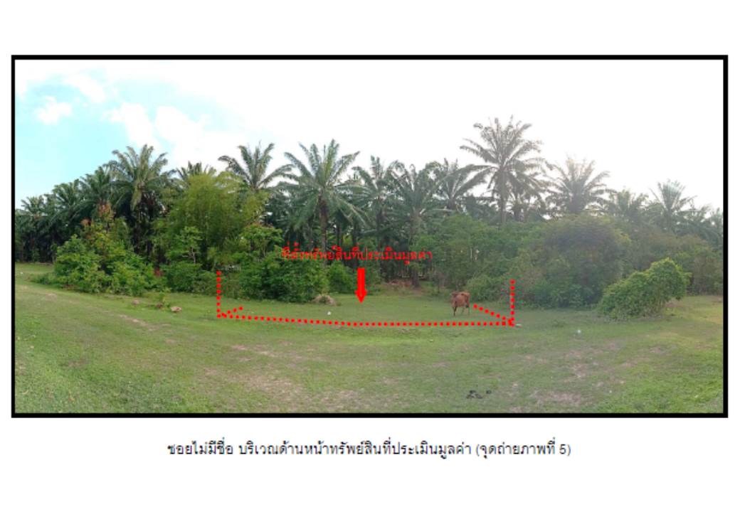 รูป ที่ดิน 50 ตร.วา คลองท่อม กระบี่ 150,000 - รูปที่ 1/4
