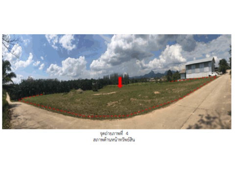 LAND 2722 Sq.w. Phanom Surat Thani for 3.2M