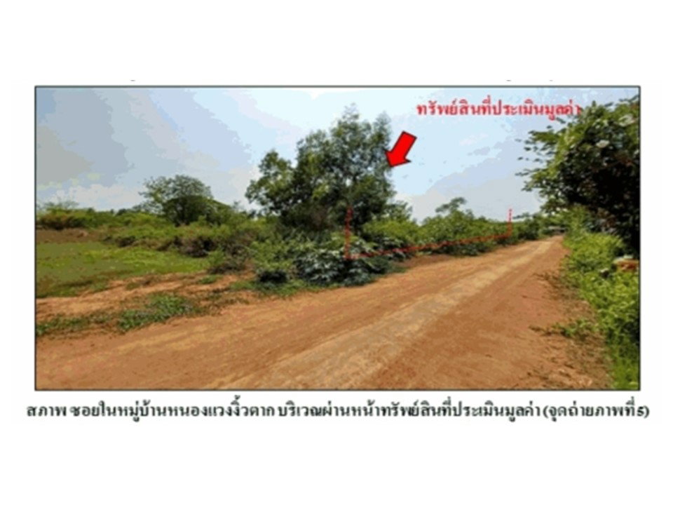 รูป ที่ดิน 800 ตร.วา โนนสัง หนองบัวลำภู 638,000 - รูปที่ 6/9