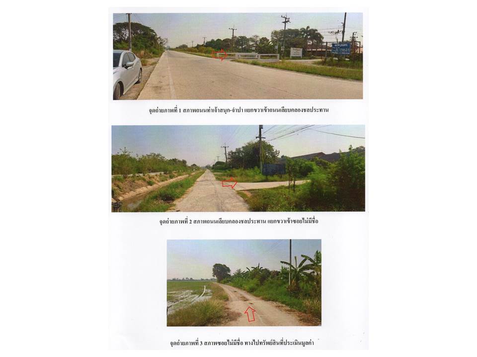 picture LAND 48 Sq.w. Tha Rua Phra Nakhon Sri Ayutthaya for 1.4M - 2/6